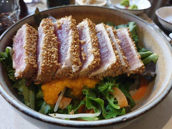 Nishiki Koi & Fusion